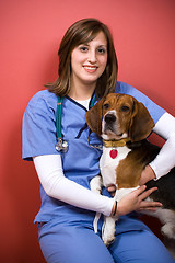 Image showing Veterinarian With a Beagle