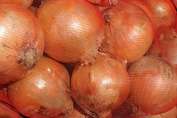 Image showing Onions