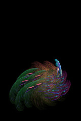 Image showing Peacock Fractal