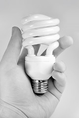 Image showing Compact Fluorescent Light Bulb