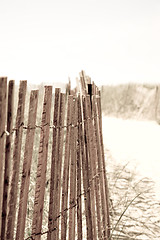 Image showing Beach Fence