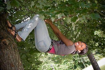 Image showing Hanging from a Tree