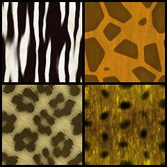 Image showing Animal Print Collection