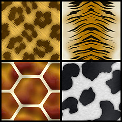 Image showing Animal Print Collection