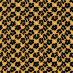 Image showing Leopard Print Pattern