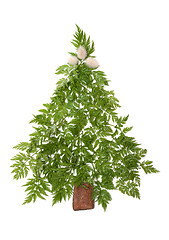 Image showing Decorative cristmas spruce