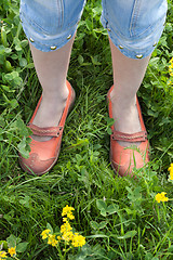 Image showing Legs in orange loafer on green herb