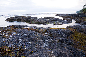 Image showing Salt Creek Recreation Area