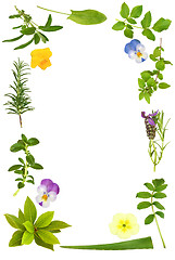 Image showing Flower and Herb Leaf Frame