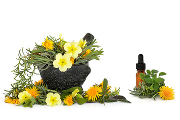 Image showing  Wild Flower and Herb Therapy