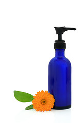 Image showing Calendula Hand Cream