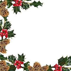 Image showing Holly and Pine Cone Border