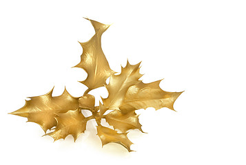 Image showing Golden Holly