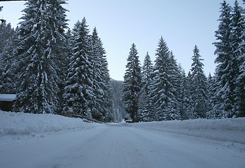 Image showing Winter  road