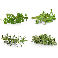Image showing Parsley Sage Rosemary and Thyme Herbs