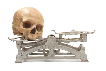 Image showing Heavy skull