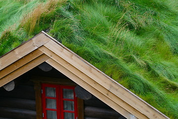 Image showing gras on the top