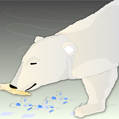 Image showing white bear