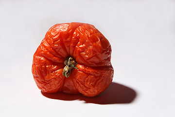 Image showing Sered tomato