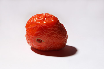 Image showing Sered tomato