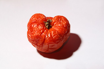 Image showing Sered tomato