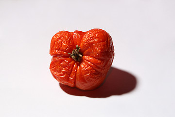 Image showing Sered tomato