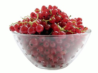 Image showing red currants