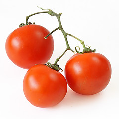 Image showing Red tomatoes