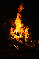 Image showing Fire on the picnic