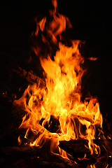 Image showing Fire on the picnic