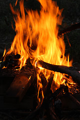 Image showing Fire on the picnic