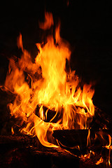 Image showing Fire on the picnic