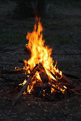 Image showing Fire on the picnic