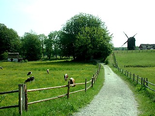 Image showing windmill in a field