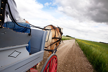 Image showing Horse and Cart