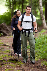 Image showing Hike Forest