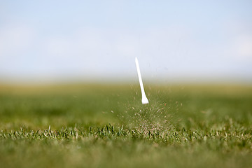 Image showing Golf Swing