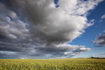 Image showing Prairie Landscape