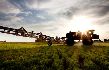 Image showing High Clearance Sprayer