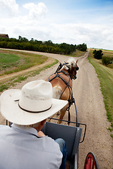 Image showing Horse and Buggy