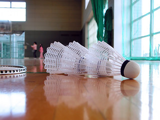 Image showing Badminton indoor