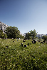 Image showing Old Graveyard