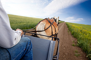 Image showing Horse and Cart