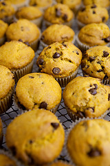 Image showing Pumpkin Muffin