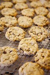 Image showing Fresh Chocolate Chip Cookies