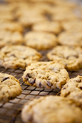 Image showing Fresh Cookies