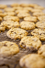 Image showing Chocolate Chip Cookie