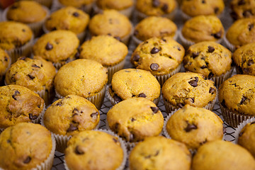 Image showing Pumpkin Muffin