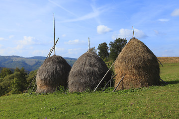 Image showing Hayricks in a mountainous area