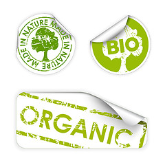 Image showing Set of bio / eco / organic labels